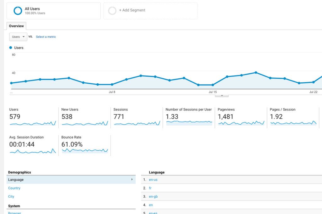 Screenshot of Google Analytics Audience Report.
