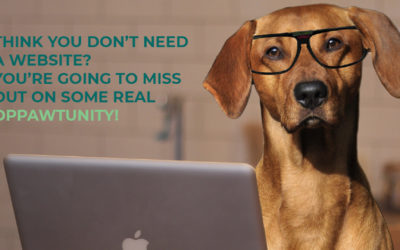 7 Reasons Why You Need a Company Website