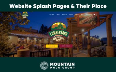 Website Splash Pages & Their Place