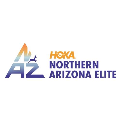 northern arizona elite logo