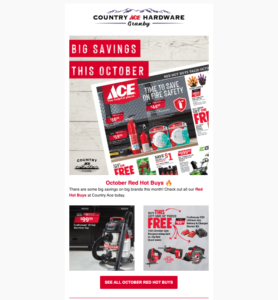 example of newsletter from country ace hardware
