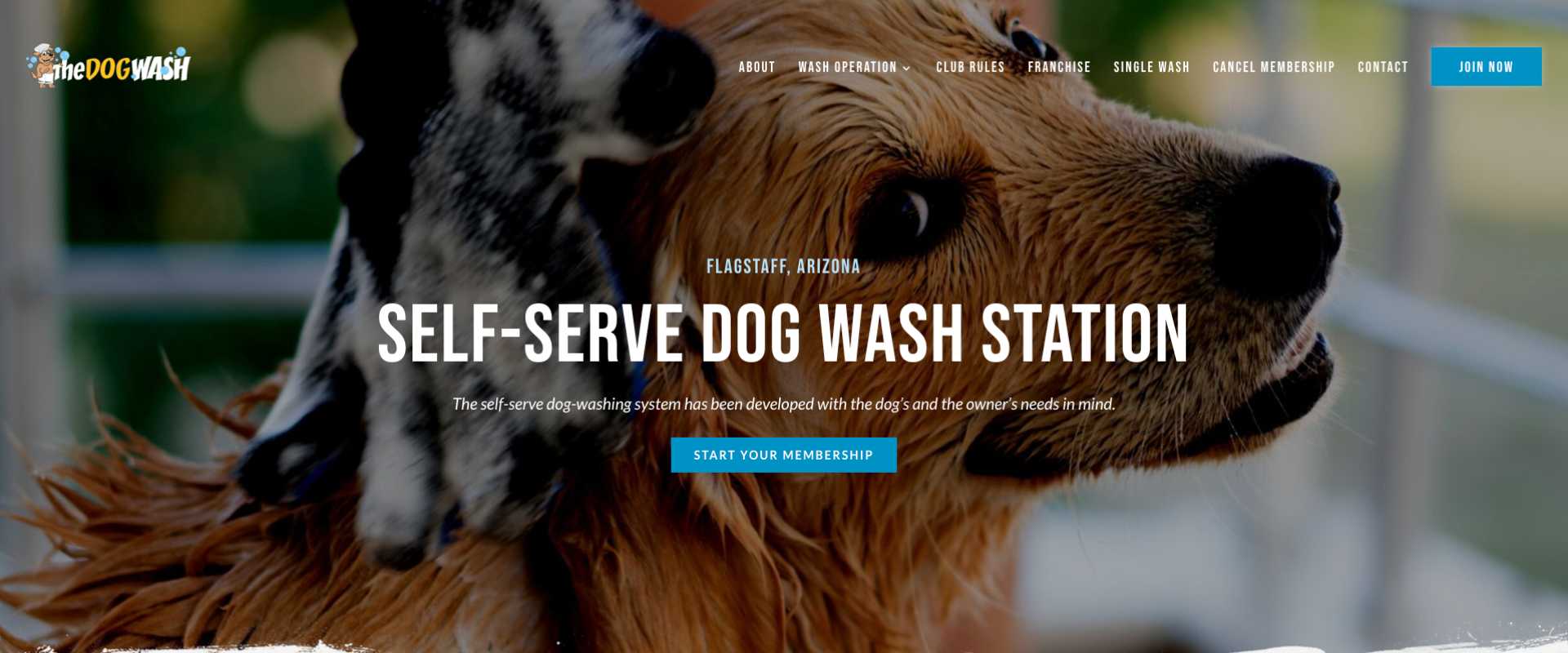 The Dog Wash Flagstaff new website home page