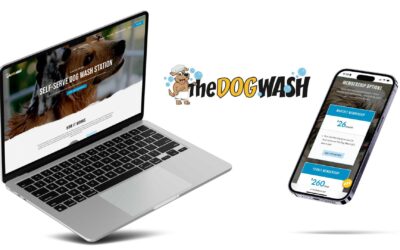How We Did It: The Dog Wash Case Study