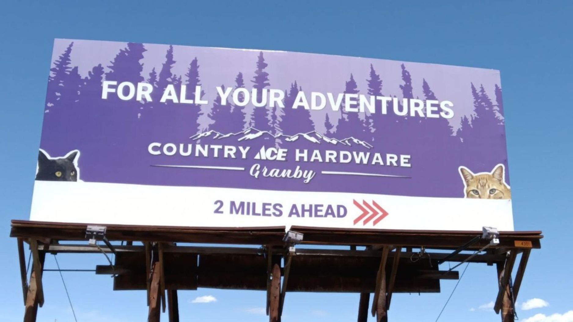 Purple Country Ace Billboard saying "For all your adventures, 2 miles away" with cats peeking out of the corner
