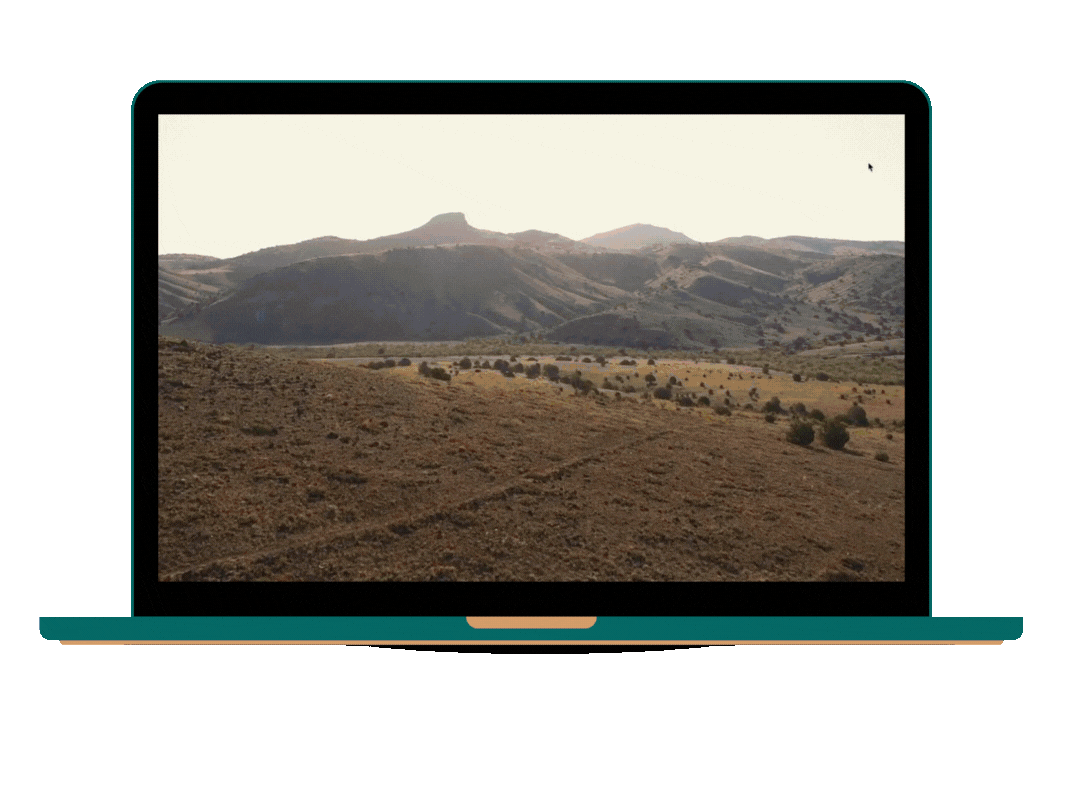 Mobile Phone with HomCo's Website Pulled Up On It