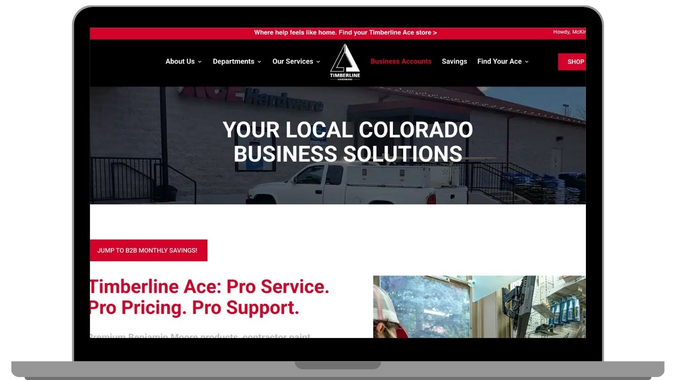 Timberline Ace Business Accounts Website landing page